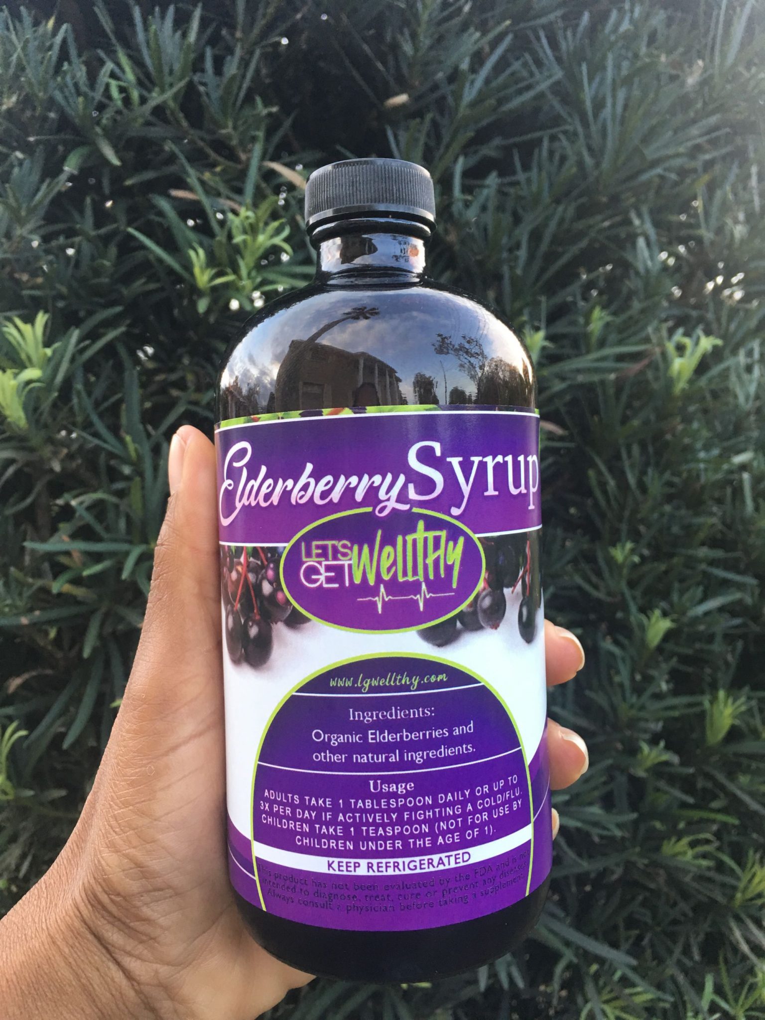 Organic Elderberry Syrup Lets Get Wellthy