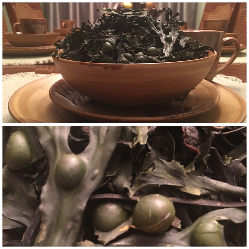 Bladderwrack – Lets Get Wellthy
